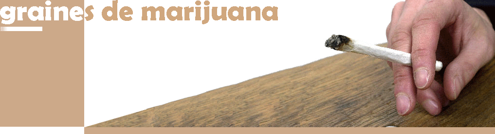 Acheter graines de cannabis